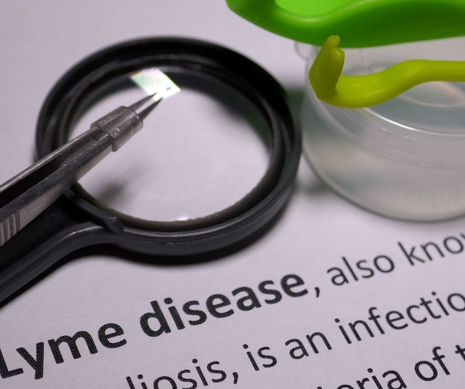 lyme disease chester county pa